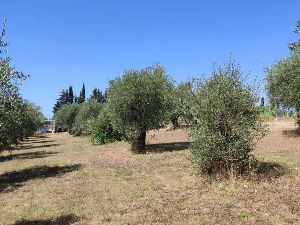 Immobile a Gavorrano - Foto 5