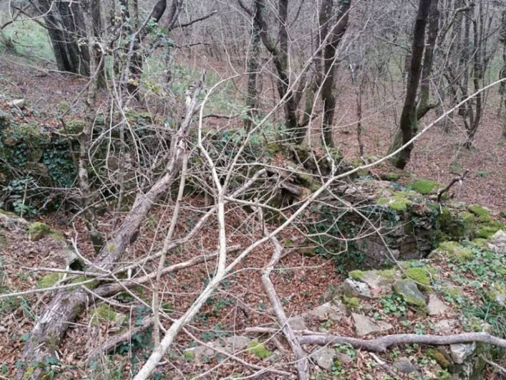 Rustico / casale a Santa fiora in Strada Provinciale Pitigliano - Santa Fiora - Foto 3