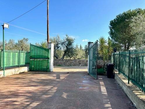 Villa a Andria in Viale delle Mimose - Foto 2