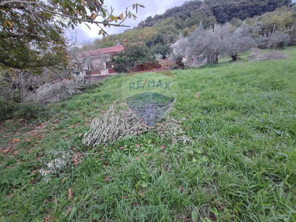 Terreno a Caiazzo in Via Portanzia - Foto 2