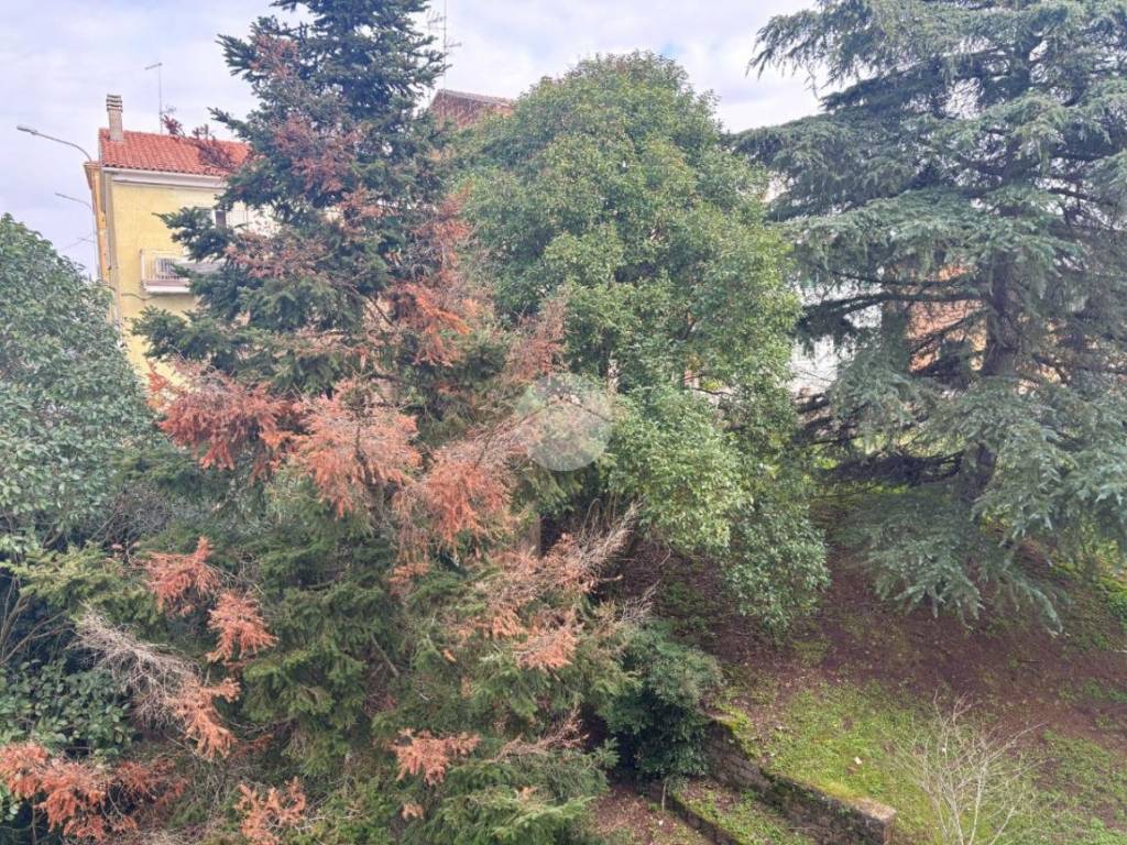 Appartamento a Civita castellana in Viale Repubblica, 24 - Foto 5