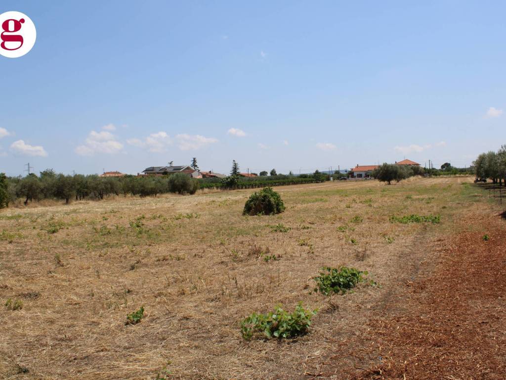 Terreno a Casalbordino in Viale dei Tigli - Foto 2