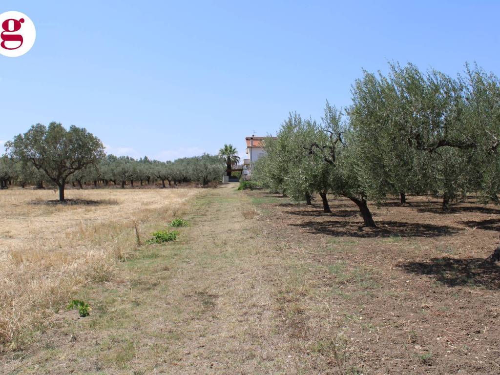 Terreno a Casalbordino in Viale dei Tigli - Foto 3