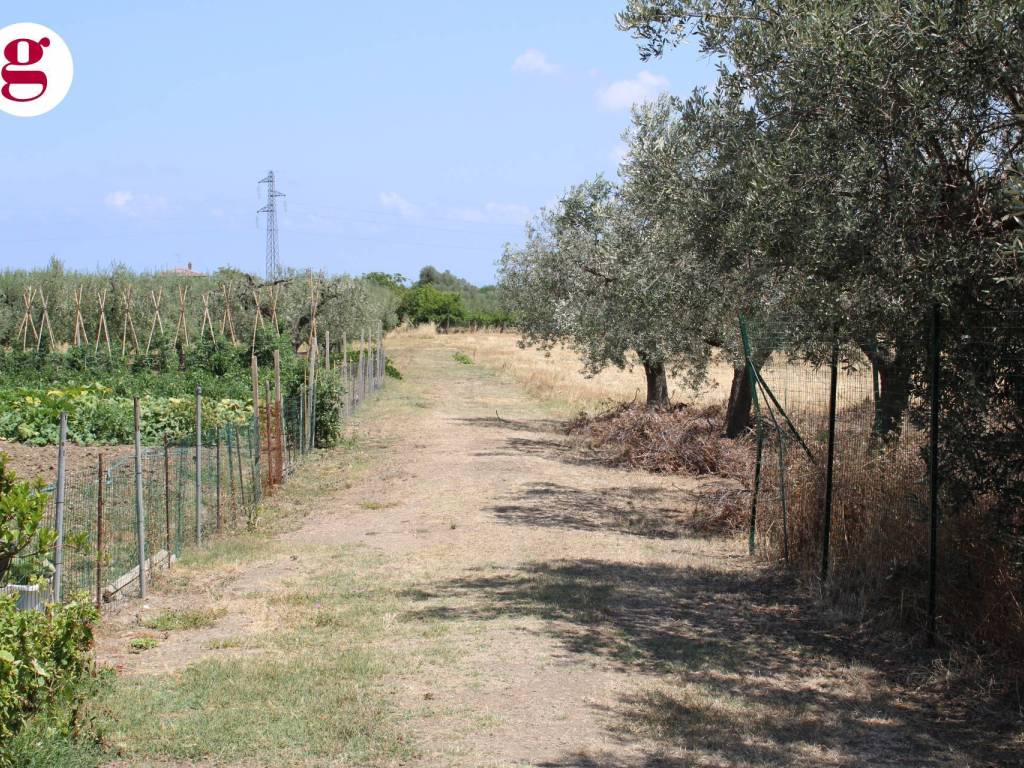Terreno a Casalbordino in Viale dei Tigli - Foto 5