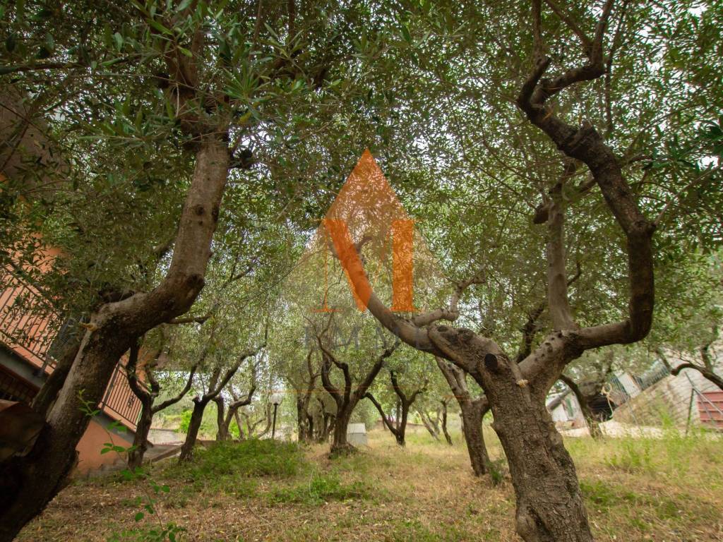 Casa indipendente a Alatri in Via Montesecco - Foto 3