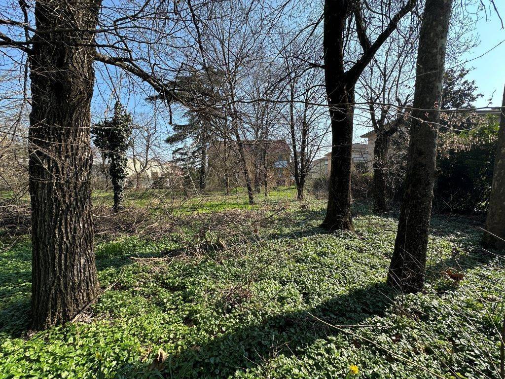 Terreno a San giorgio piacentino - Foto 4