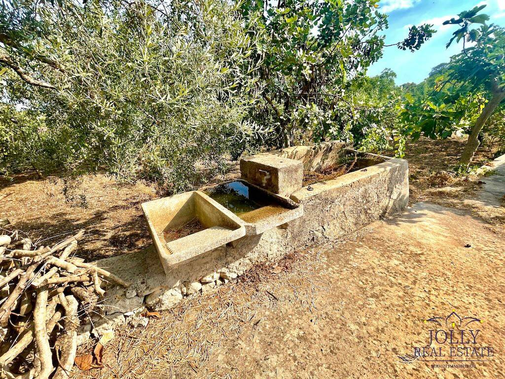 Villa a Noto in rigolizia - Foto 2