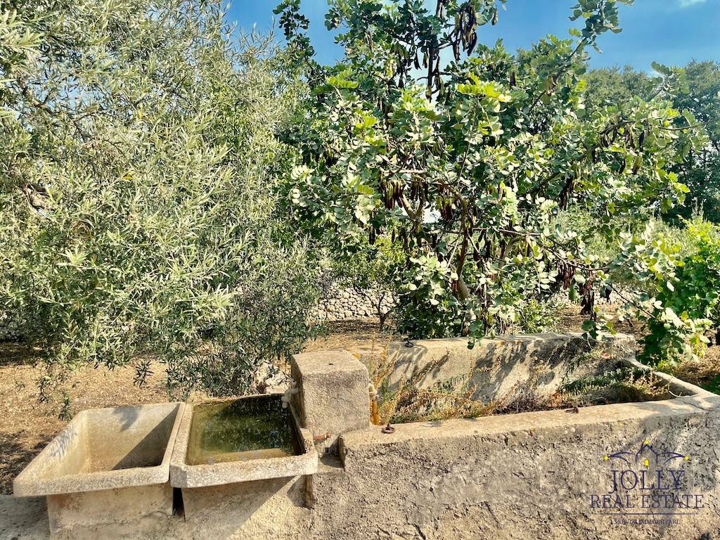 Villa a Noto in rigolizia - Foto 4