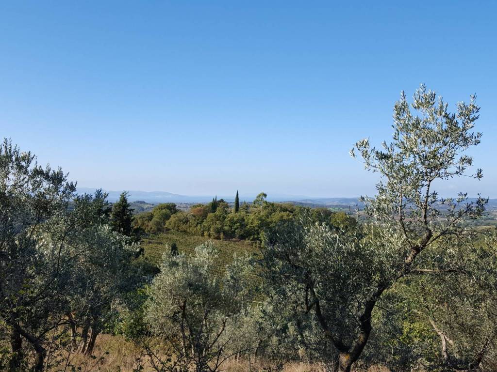 Rustico / casale a Scansano in Strada Vicinale del Gaggiolo - Foto 4