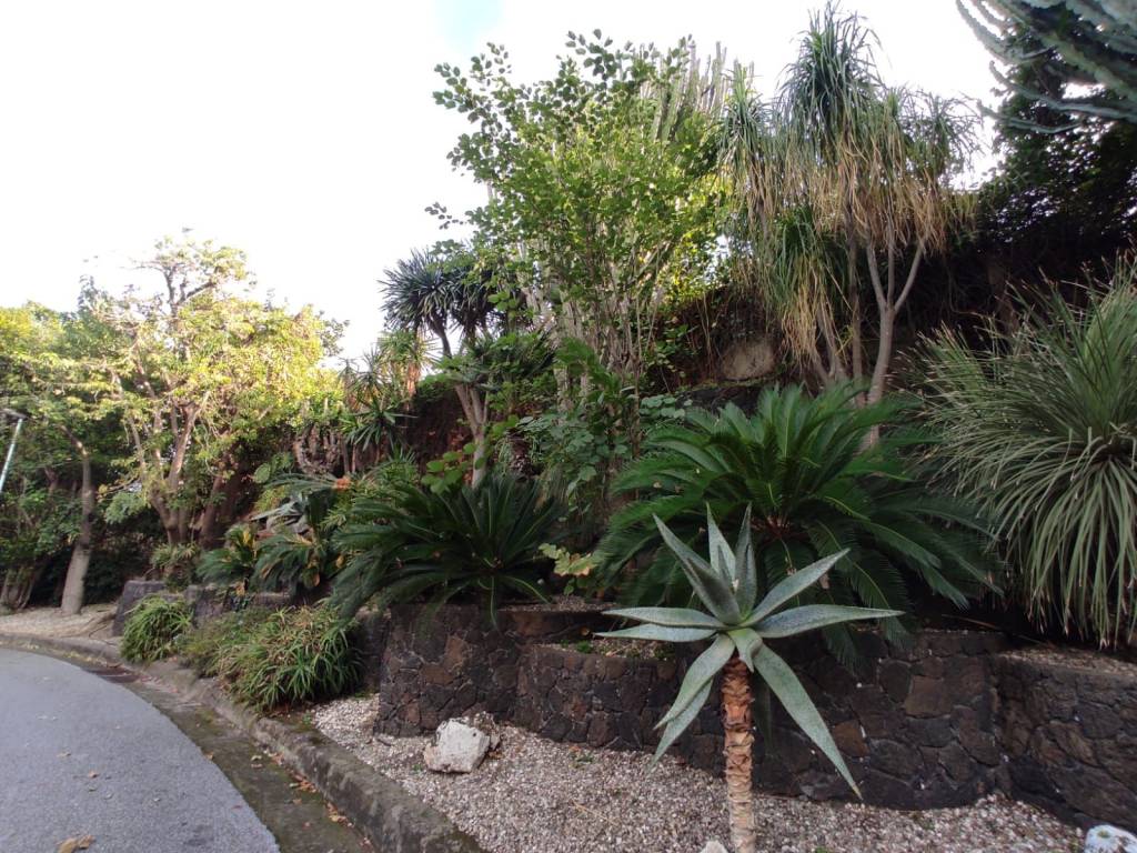 Villa a Aci castello in Via Acicastello, 71 - Foto 4