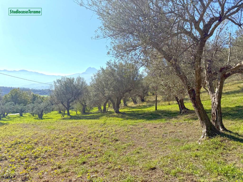 Terreno a Teramo in Strada Statale del Gran Sasso - Foto 3