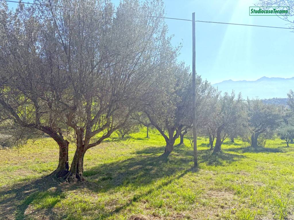 Terreno a Teramo in Strada Statale del Gran Sasso - Foto 4