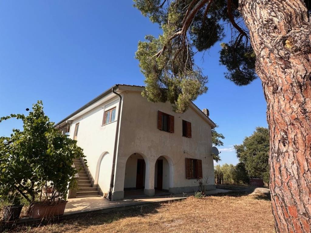 Rustico / casale a Manciano - Foto 5