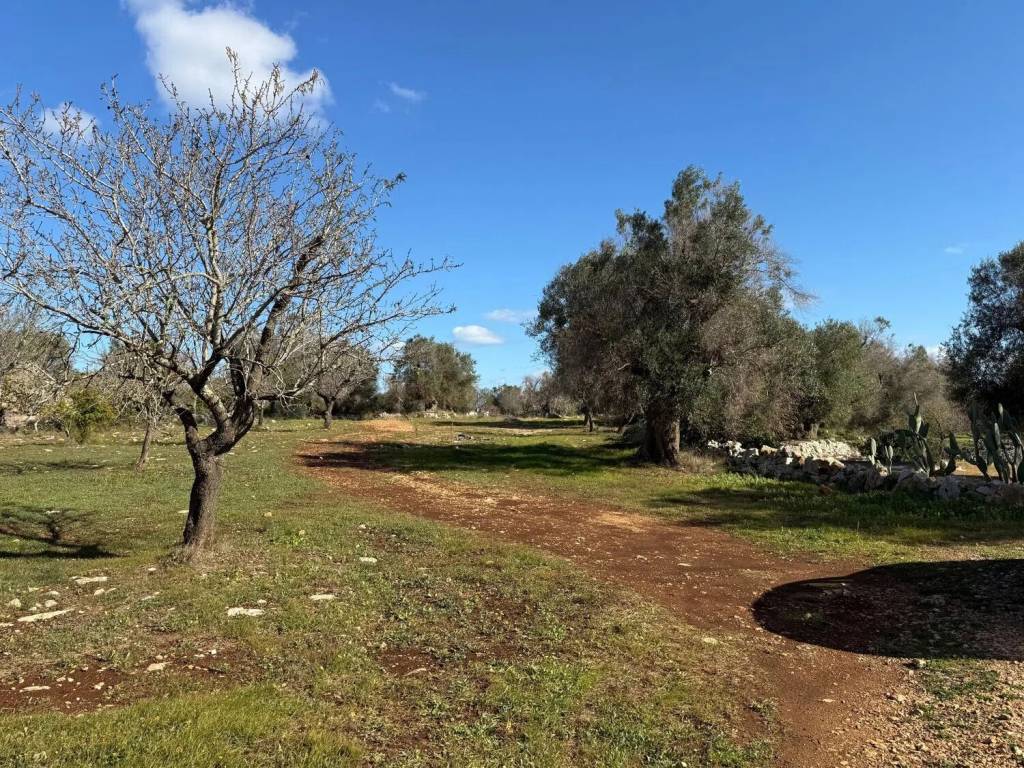 Rustico / casale a Carovigno in Contrada Puspo S.N.C. - Foto 3