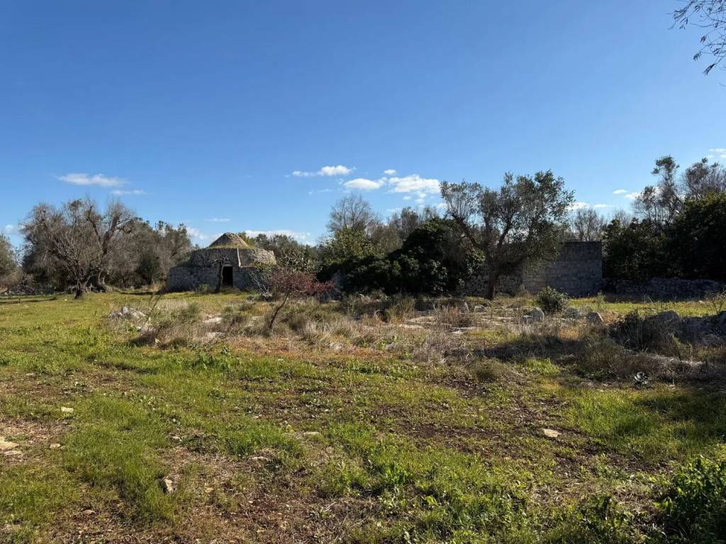 Rustico / casale a Carovigno in Contrada Puspo S.N.C. - Foto 4