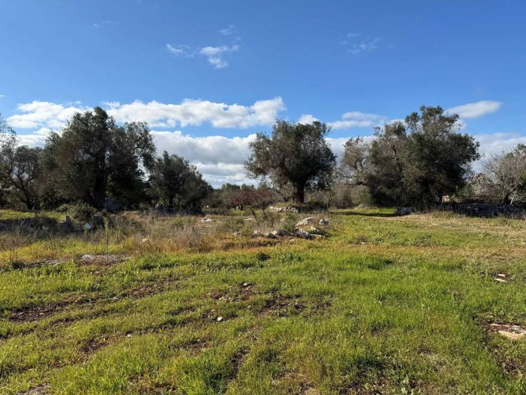 Rustico / casale a Carovigno in Contrada Puspo S.N.C. - Foto 5