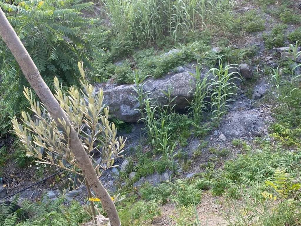 Terreno a Savoca in Scopelliti S.N.C. - Foto 2