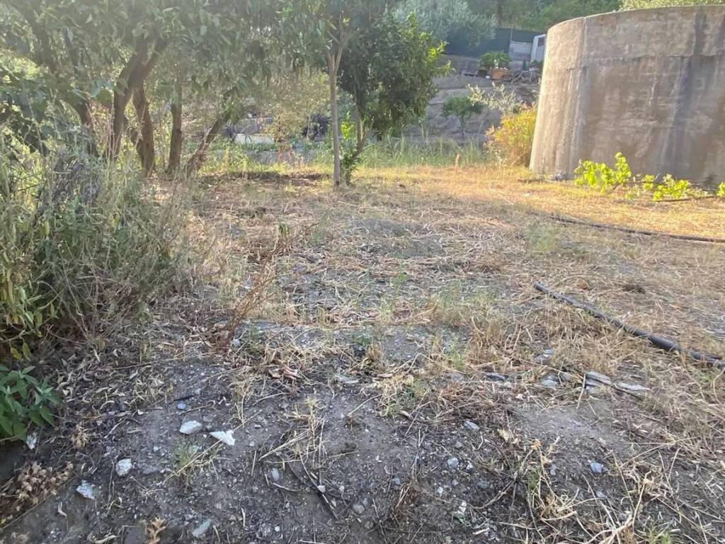 Terreno a Savoca in Scopelliti S.N.C. - Foto 3