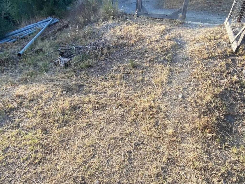 Terreno a Savoca in Scopelliti S.N.C. - Foto 4