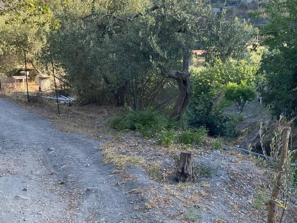 Terreno a Savoca in Scopelliti S.N.C. - Foto 5