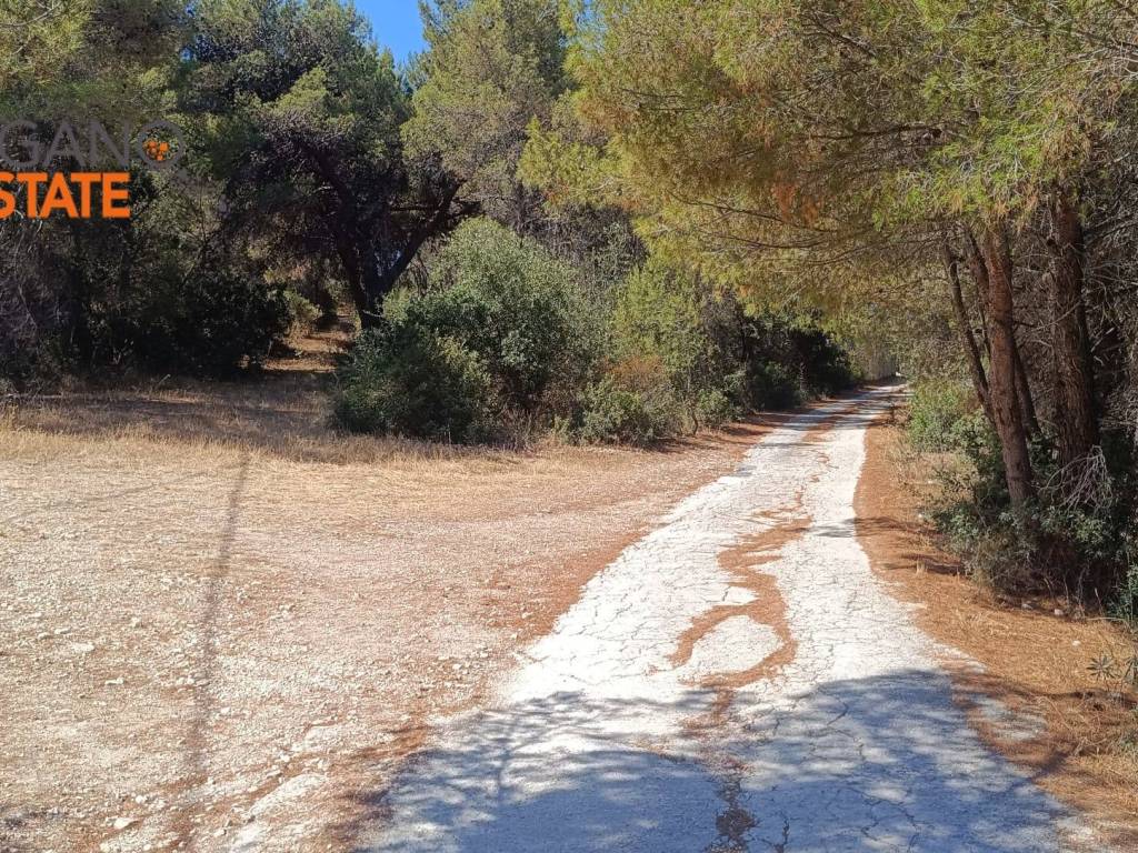 Terreno a Vieste in località tomarosso - Foto 3