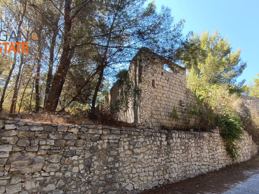 Terreno a Vieste in località tomarosso - Foto 4
