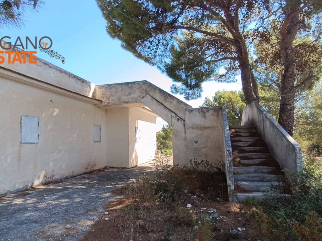 Terreno a Vieste in località tomarosso - Foto 5