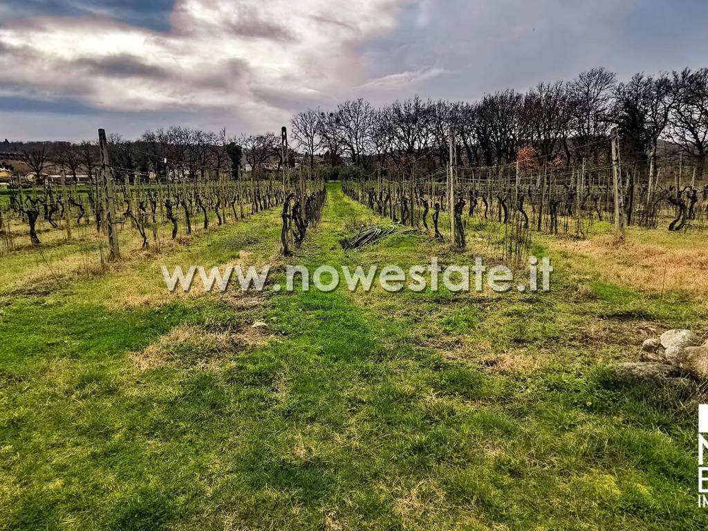 Rustico / casale a Anghiari in Strada Provinciale di Caprese Michelangelo - Foto 5