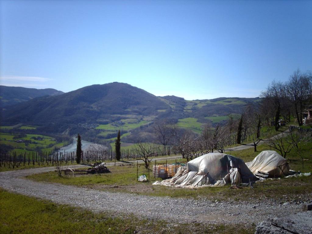 Terreno a Rivergaro in bassano - Foto 2