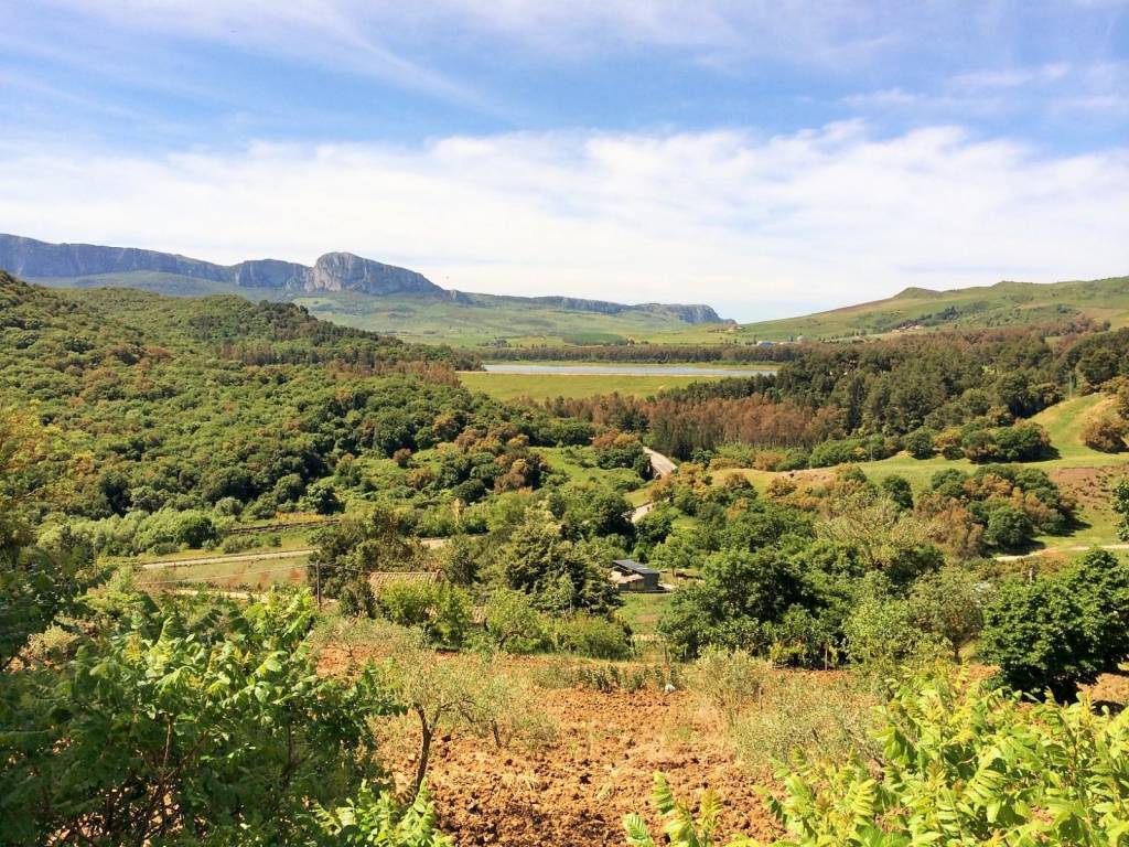 Rustico / casale a Piana degli albanesi in Contrada Buceci snc - Foto 2
