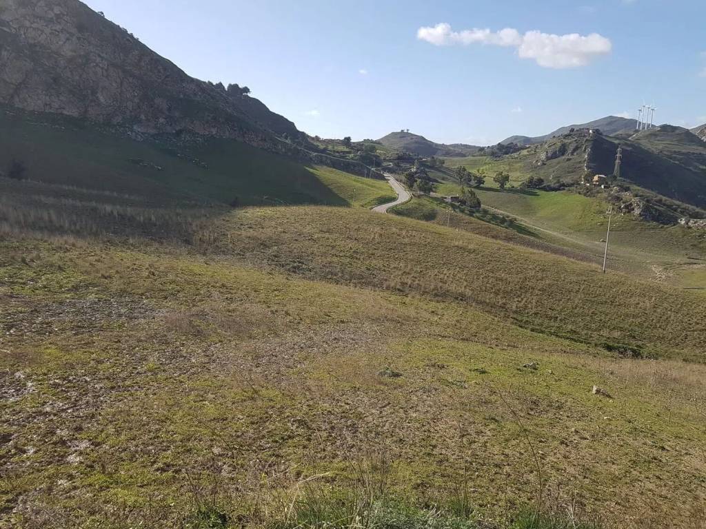 Terreno a Sant'angelo muxaro in Strada Provinciale S.N.C. - Foto 4