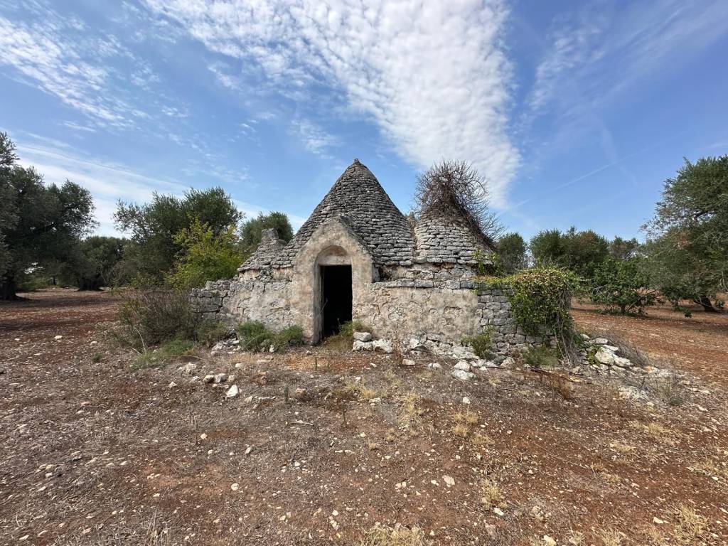 Rustico / casale a San michele salentino in SS581 - Foto 2