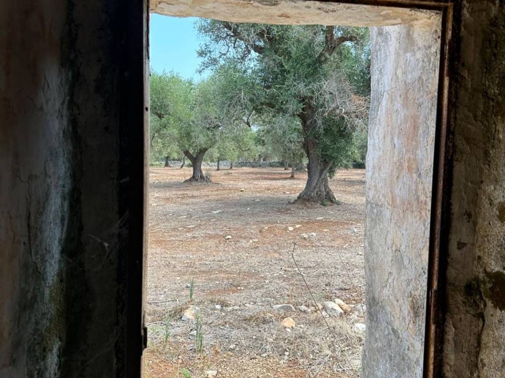 Rustico / casale a San michele salentino in SS581 - Foto 5