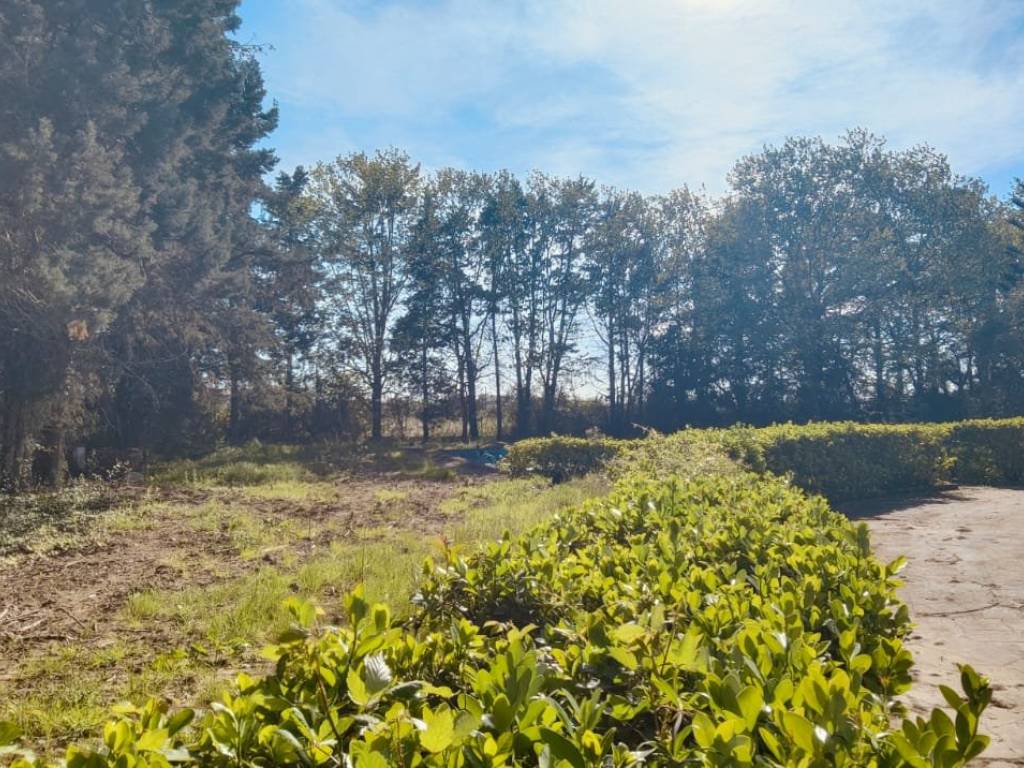 Villa a Ascea in Contrada Paino - Foto 4