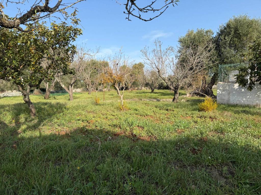 Villa a Ostuni in Strada Provinciale 29 S.N.C. - Foto 5