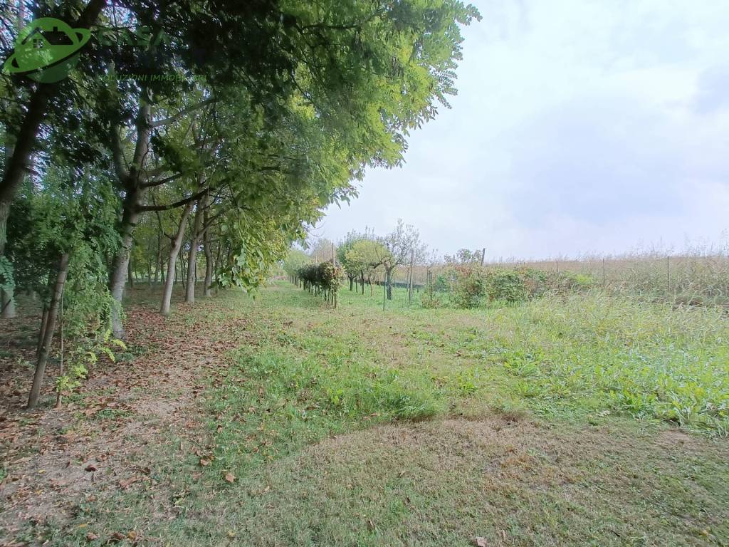 Casa indipendente a Zoppola in filanda - Foto 5