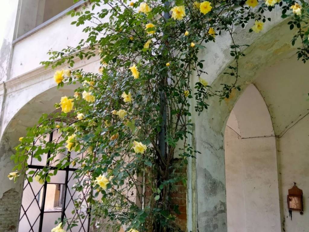 Palazzo / stabile a Boves in Via Santuario - Foto 4