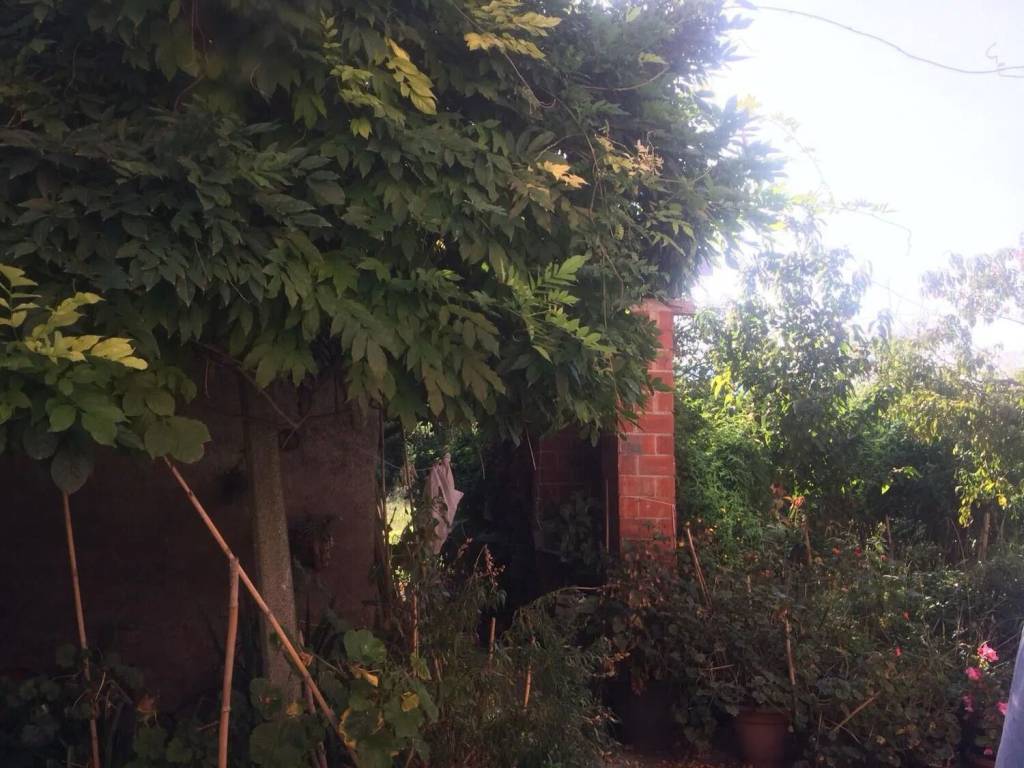 Villa a Sarzana - Foto 5