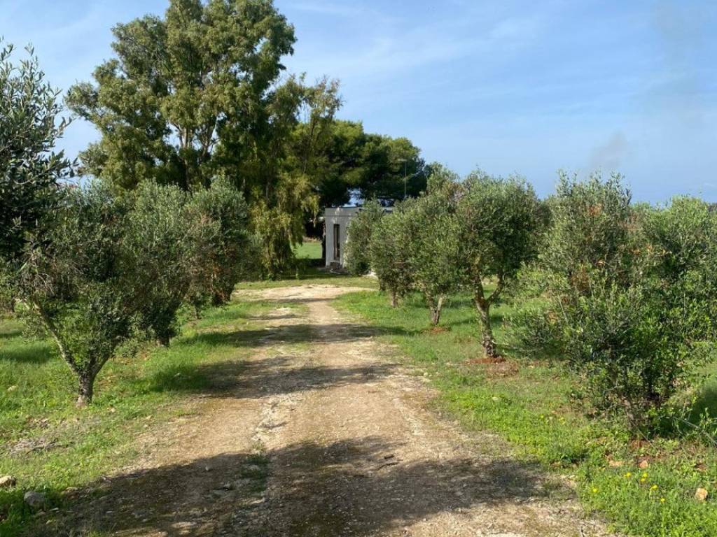 Casa indipendente a Nardò in Contrada Torre Inserraglio - Foto 3