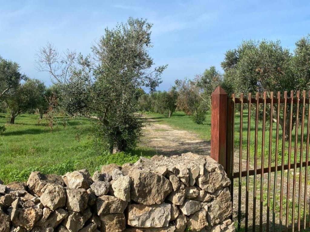 Casa indipendente a Nardò in Contrada Torre Inserraglio - Foto 4
