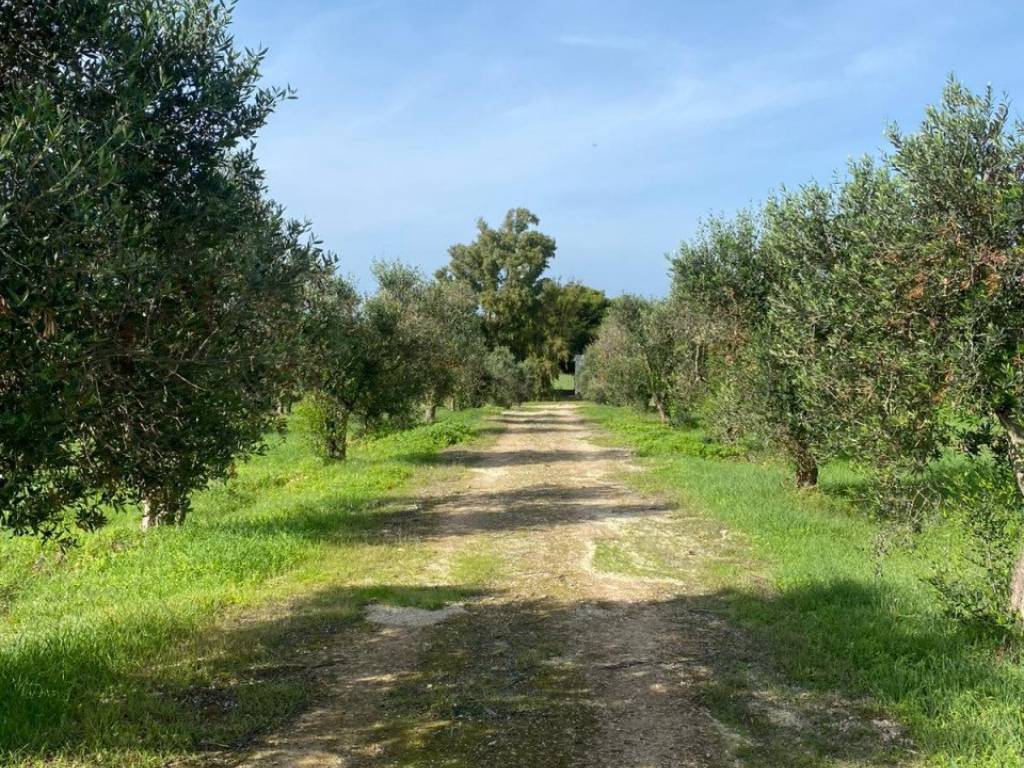 Casa indipendente a Nardò in Contrada Torre Inserraglio - Foto 5