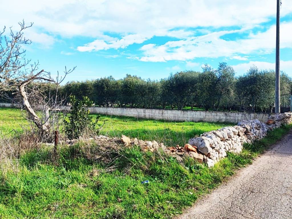 Terreno a Ostuni in Contrada Camere - Foto 4