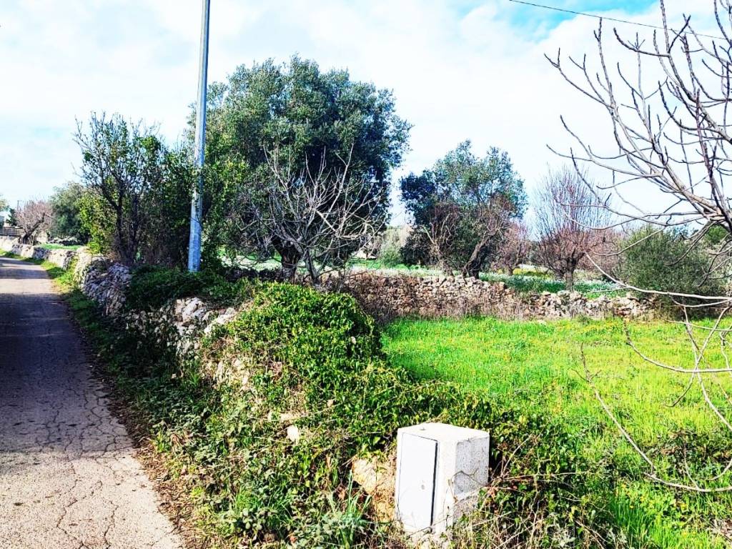 Terreno a Ostuni in Contrada Camere - Foto 5