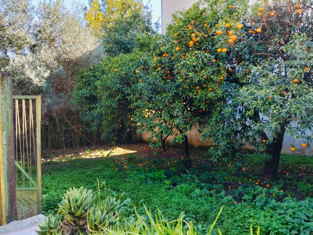 Casa indipendente a San prisco in Via Cavacone, 22 - Foto 5