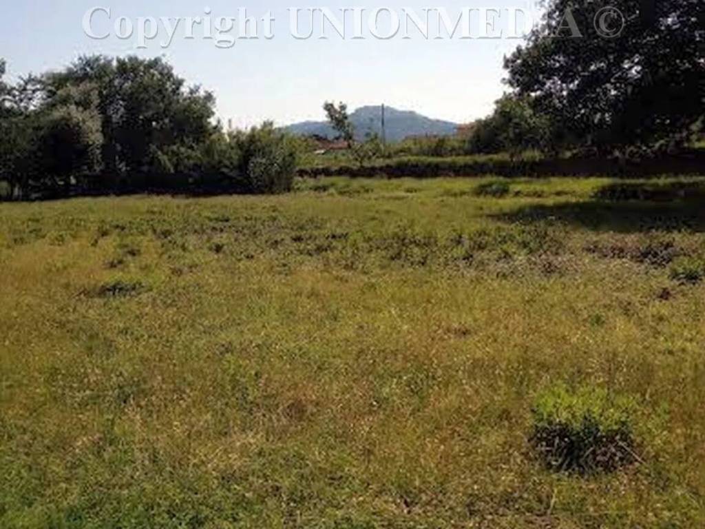 Terreno a Sarzana - Foto 3