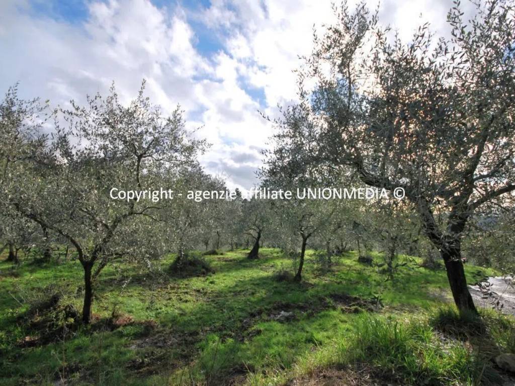 Rustico / casale a Sarzana in Via Martiri Della Libertà - Foto 2