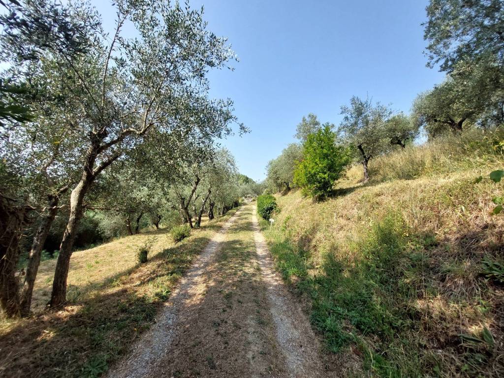 Rustico / casale a Monsummano terme in Via Brogi - Foto 5