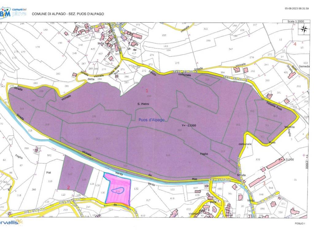 immagine di copertina