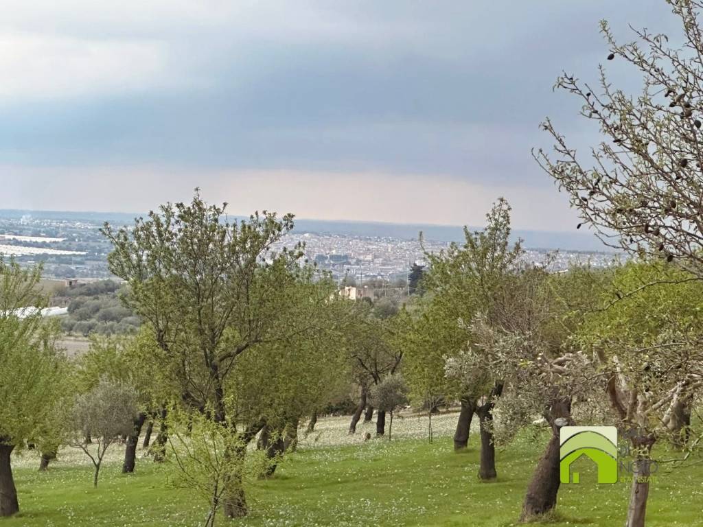 Terreno a Noto in Contrada Casale Modica - Foto 2