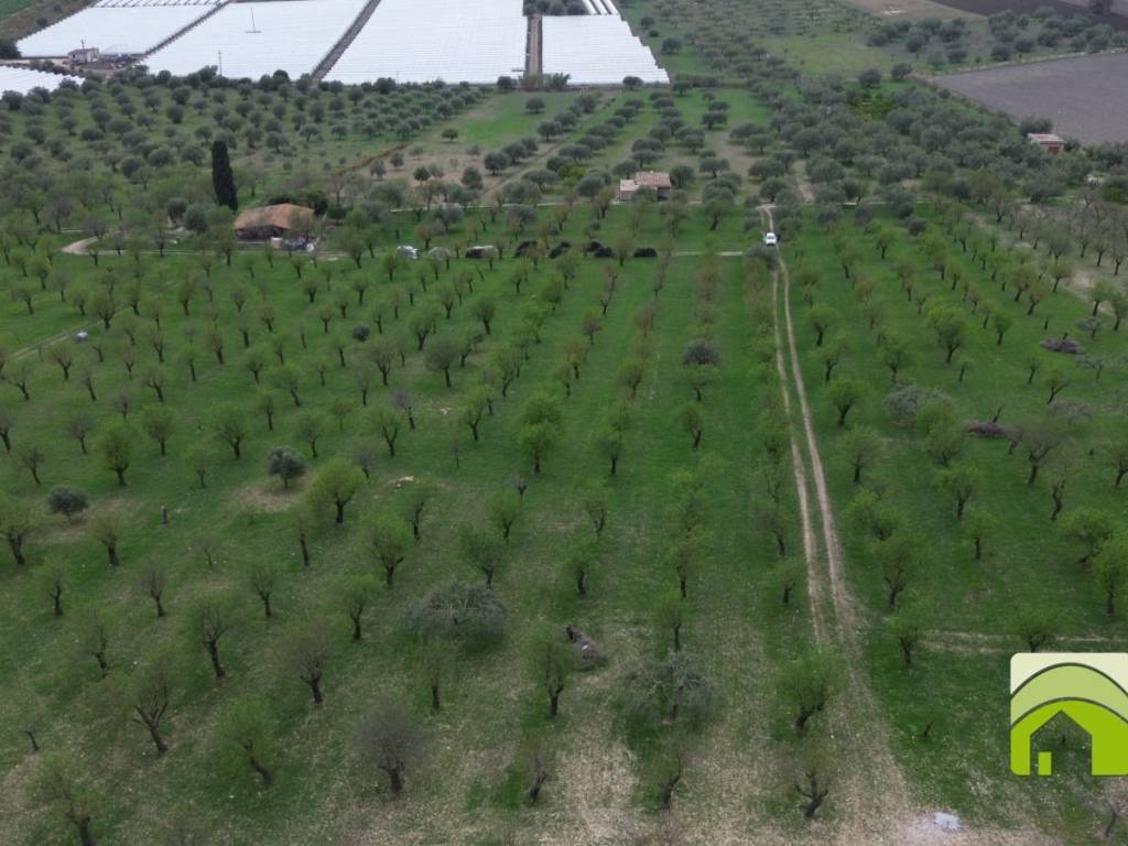 Terreno a Noto in Contrada Casale Modica - Foto 5
